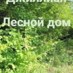 Лесной дом