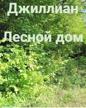 Лесной дом читать онлайн
