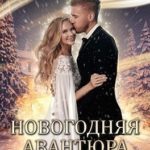 Новогодняя авантюра, или Любовь с проблемами