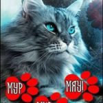 Мур-мур, МЯУ!