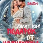 Подарок от незнакомца
