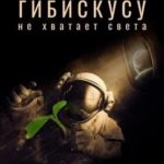 Гибискусу не хватает света