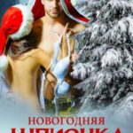 Новогодняя Шпионка