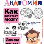 Занимательная анатомия