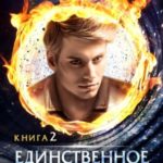 Единственное желание. Книга 2