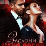 Заслони меня собой