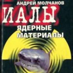 Ядерные материалы