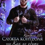 Служба контроля, или Как не убить стажера