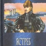 Ястреб над океаном