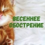 Весеннее обострение
