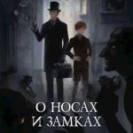 О носах и замка́х