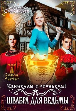 Каникулы с огоньком. Швабра для ведьмы читать онлайн