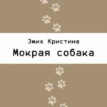 Мокрая собака