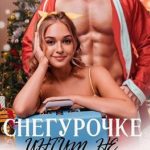 Снегурочке интим не предлагать!