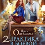 Практика в боевой академии – 2. Его рыжая проблема