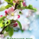 Весенние дни