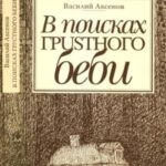 В поисках грустного беби : Две книги об Америке