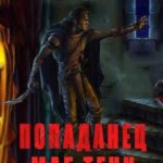 Попаданец. Маг Тени. Книга 1