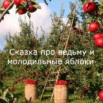 Сказка про ведьму и молодильные яблоки