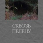Сквозь пелену