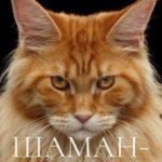 Шаман-Кот