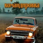 Тревожная командировка