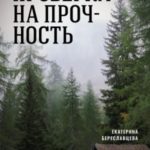 Проверка на прочность