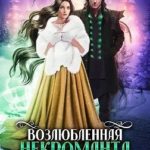 Возлюбленная некроманта. Новый год по-ведьмински