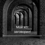 Мой кот заговорил