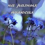 Весна на разных полюсах