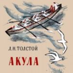Акула
