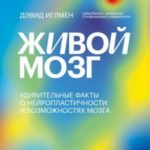 Живой мозг