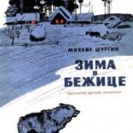 Зима в Бежице