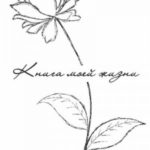 Книга моей жизни