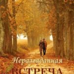 Неразгаданная встреча