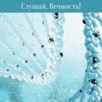 Слушай, Вечность