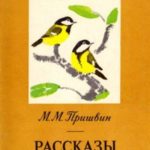 Рассказы [авторский сборник]