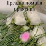 Преддипломная практика