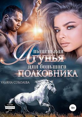 Маленькая лгунья для большого полковника читать онлайн