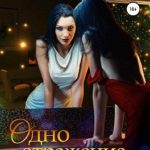 Одно отражение на двоих