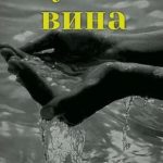 Чужая вина
