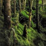 Ученик. Книга третья