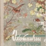 Картонная прокладка