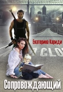 Сопровождающий читать онлайн