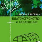 Благоустройство и озеленение: рекомендации к применению