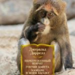 Перегруженный ковчег. Гончие Бафута. Зоопарк в моем багаже