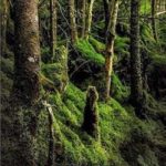 Ученик. Книга 4
