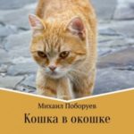 Кошка в окошке
