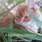 Я у котика спрошу