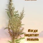 Когда зацветает полынь